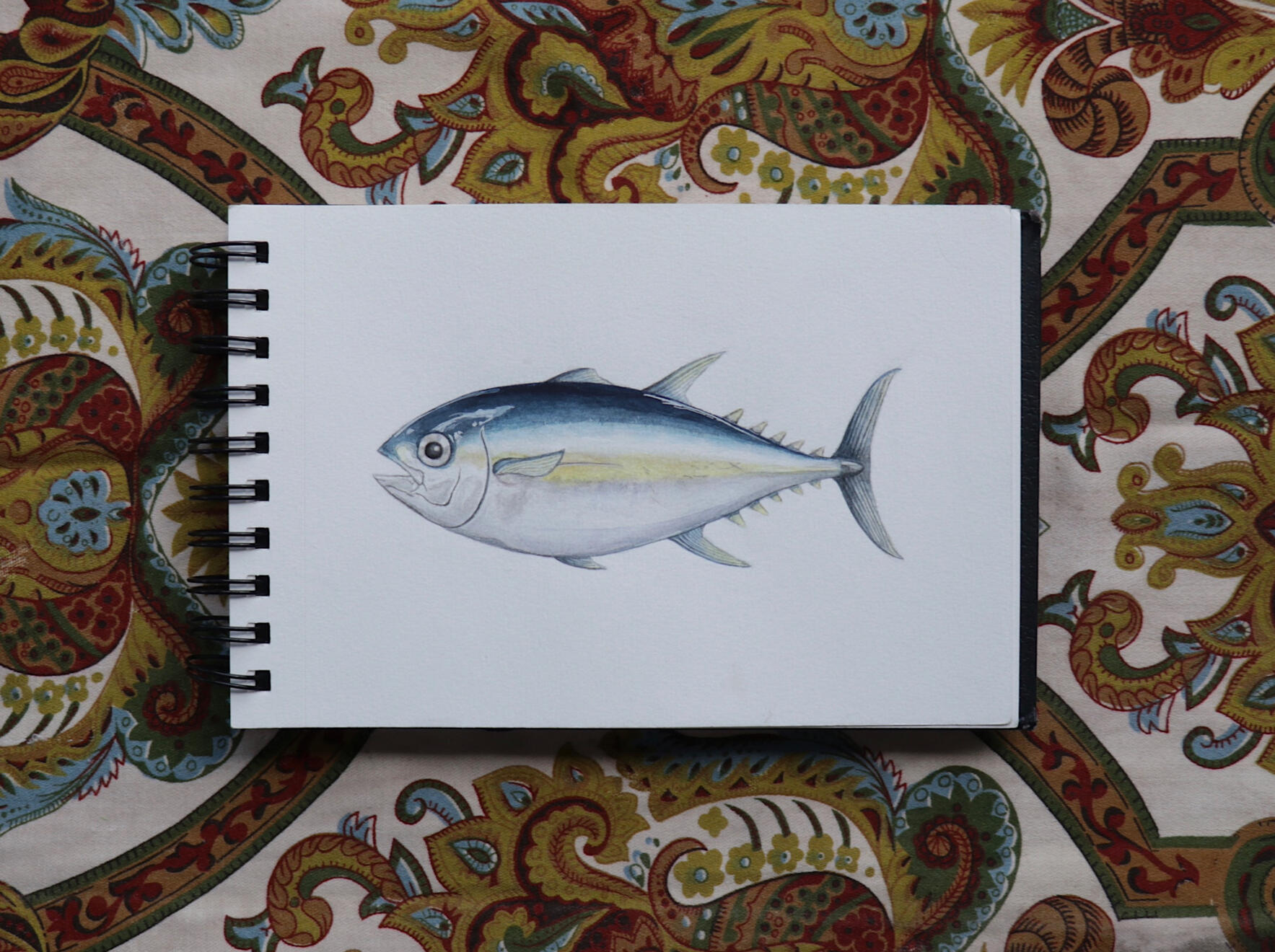 Tuna fish, 2020. Watercolour on paper 14×19cm