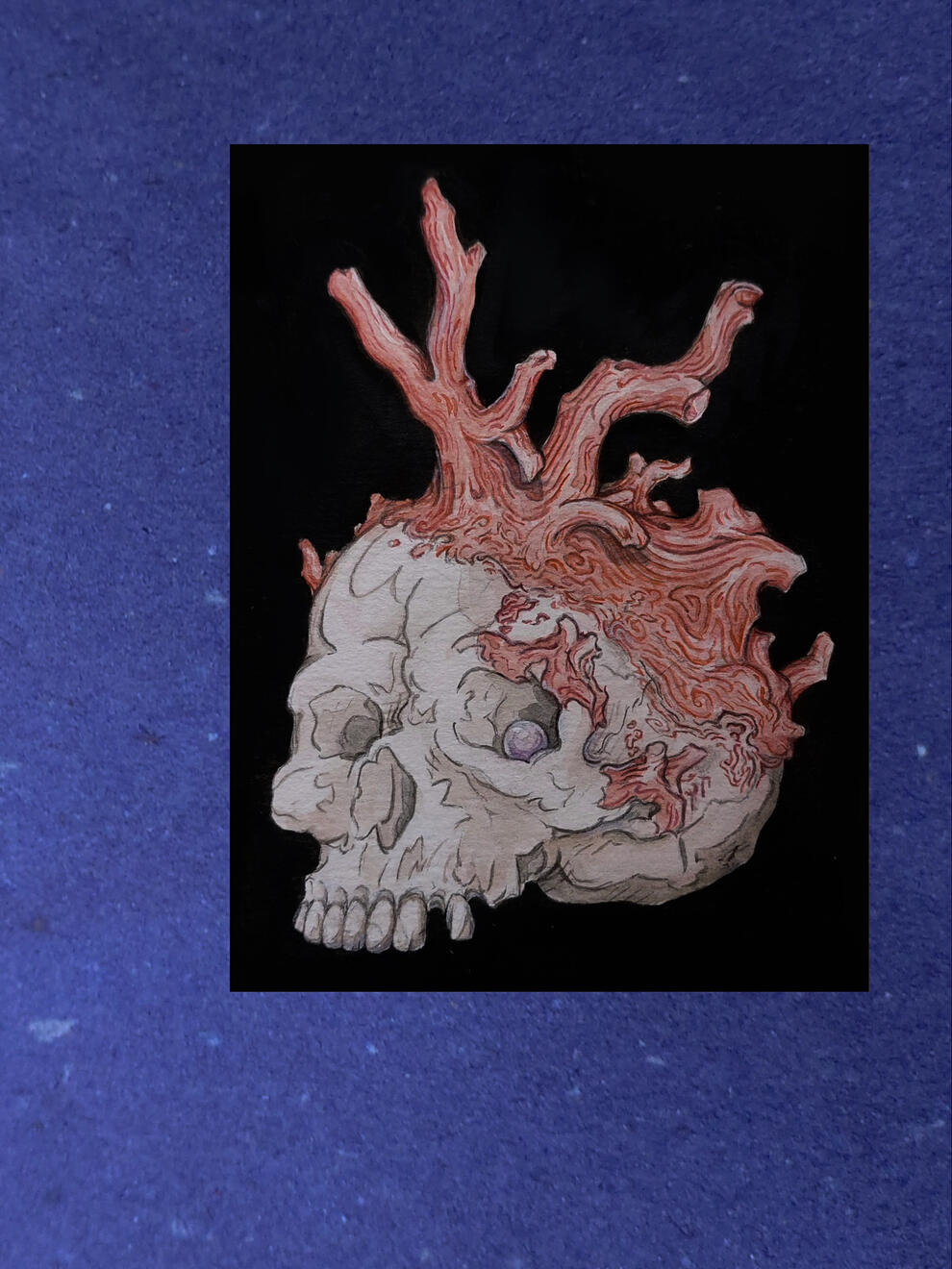 Precious Coral {Floral Follies series}, 2021. Watercolour on paper. 11x8.3cm